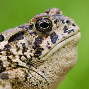 Rocky Mountain Wild's Photo