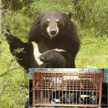 Team Organizer's Photo