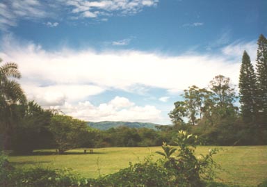 Team Organizer's Photo