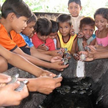 PLANT A FISH INC's Photo