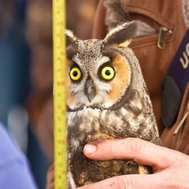 Owl Research Institute, Inc.'s Photo