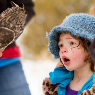 Owl Research Institute, Inc.'s Photo