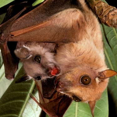 Team Organizer's Photo