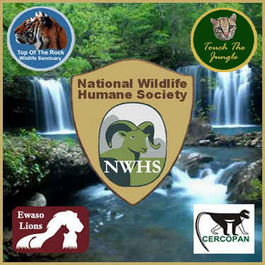 FRIENDS OF NWHS -  Global