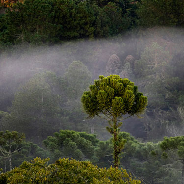The Nature Conservancy's Photo