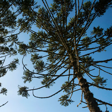 The Nature Conservancy's Photo