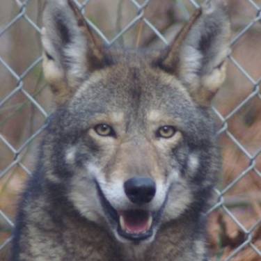 Team Organizer's Photo