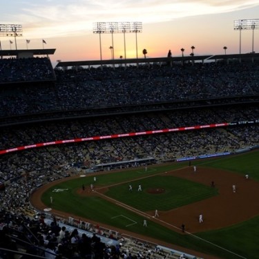 Team Organizer's Photo