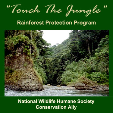 Touch The Jungle -  Ecuador