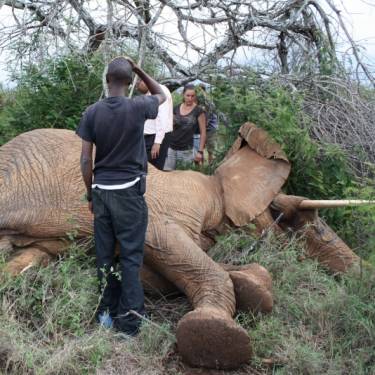 MPALA WILDLIFE FOUNDATION's Photo