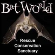 Bat World Sanctuary