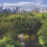 Team Organizer's Photo