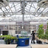 Isabel's Bat Mitzvah Initiative