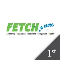 Team Organizer's Photo