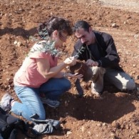 Team Organizer's Photo