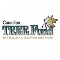 Team Organizer's Photo