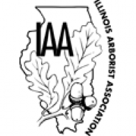 Team Organizer's Photo