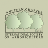 Team Organizer's Photo