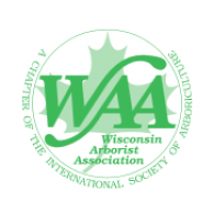 Team Organizer's Photo