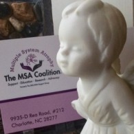 In Memory of our MSA Angels