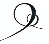 Transplant Living Centers, Inc.