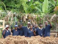 Team Organizer's Photo