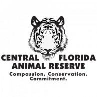 Team Organizer's Photo