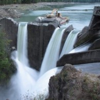 Team Organizer's Photo