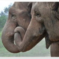 Team Organizer's Photo