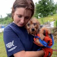 The Humane Society of the United States