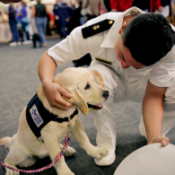 Team Organizer's Photo