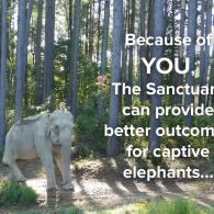 Team Organizer's Photo