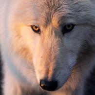 Team Organizer's Photo